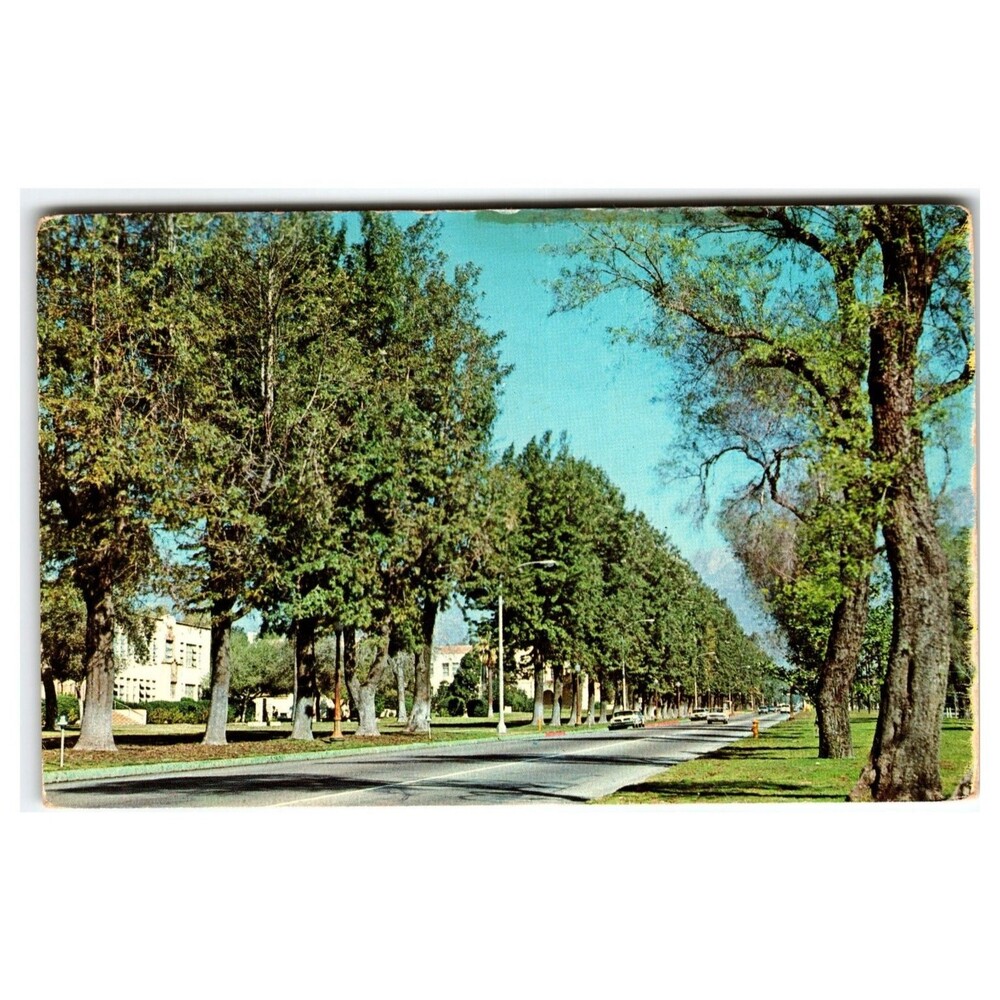 Chaffey High School Ontario California Vintage Color Photo Postcard H-3557